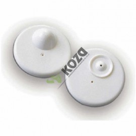 R50 / R50 Tag